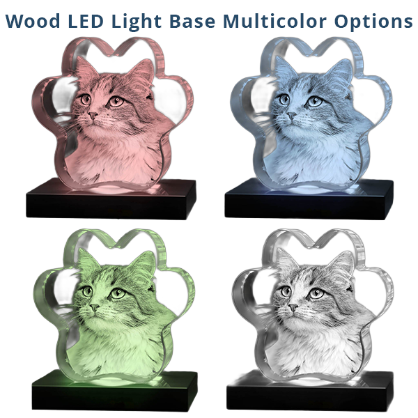 3D Crystal Bone - Image 8