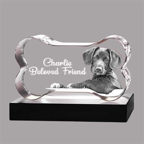 3D Crystal Bone - Image 2